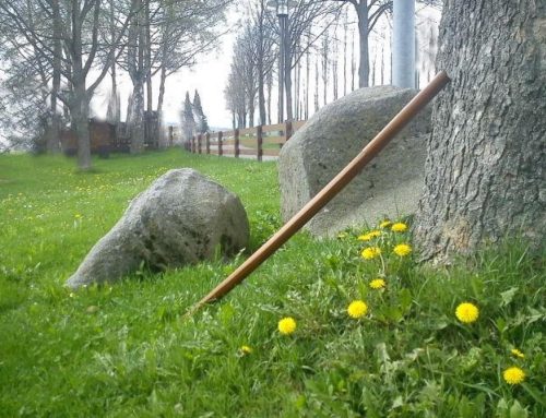 Spontanes Aikido – Training auf der Wiese