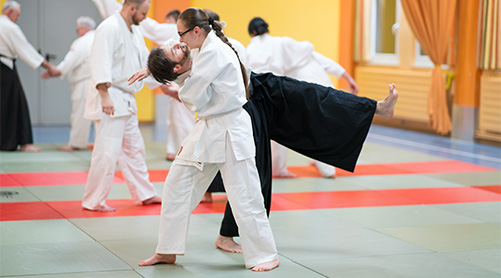 Aikido Training